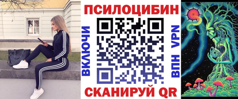 MEGA ссылка  Княгинино  Псилоцибиновые грибы мухоморы  купить закладку 